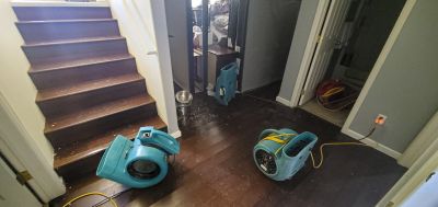 Hardwood Floor Cleaning