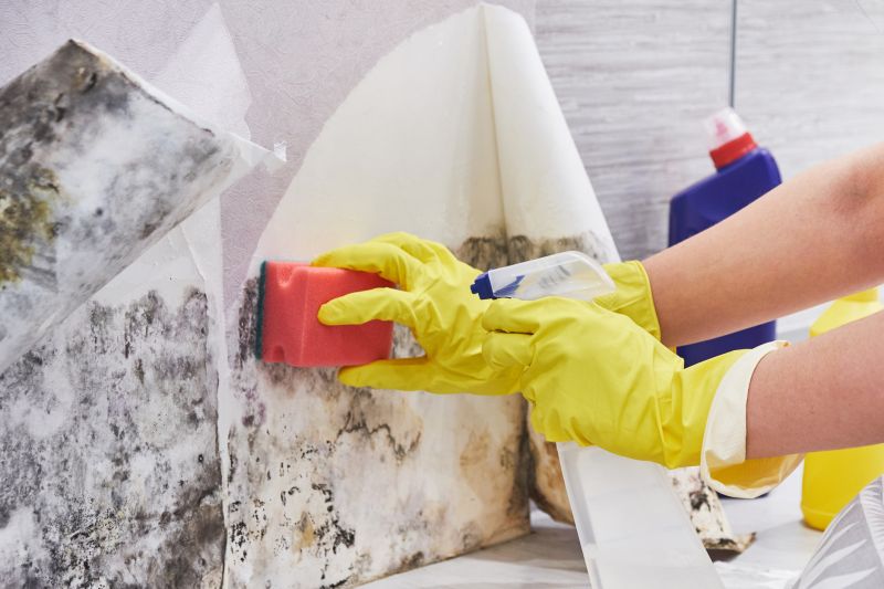 Air Duct Mold Removal in Fort Lauderdale, FL
