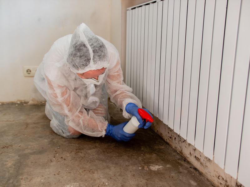 Air Duct Mold Removal in Dallas, TX