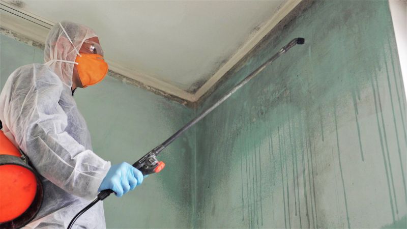 Crawlspace Mold Remediation in Fort Lauderdale, FL