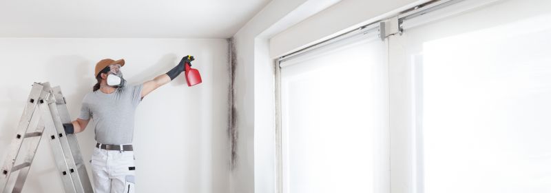 Mold Abatement Service in Broward County, FL