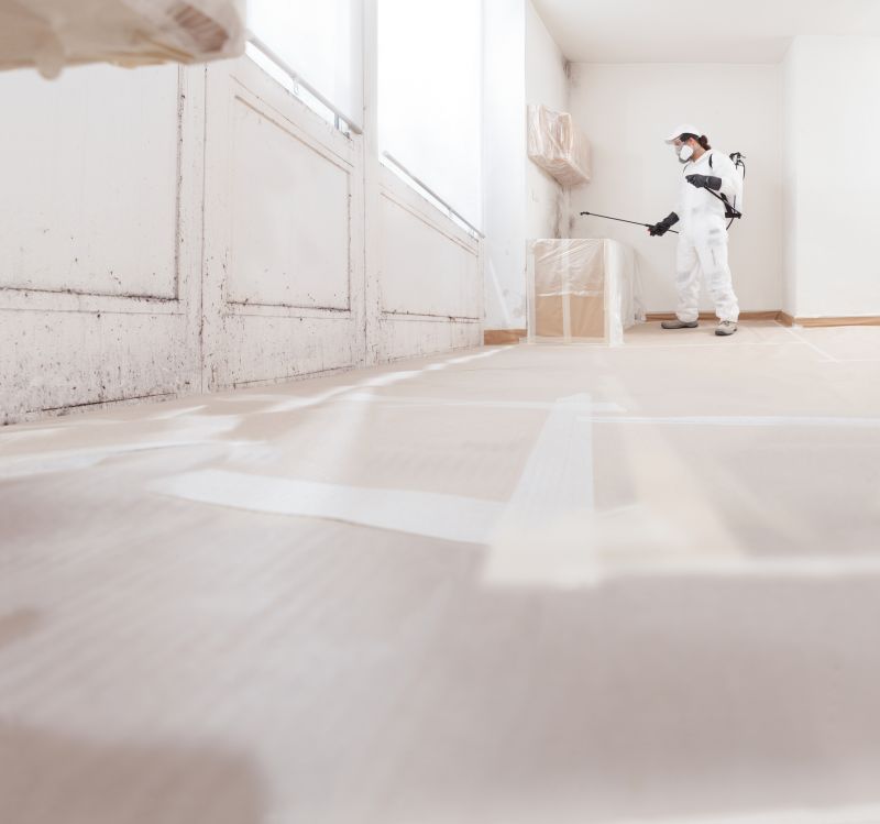 Mold Cleanup Service in Frisco, TX