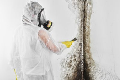 Mold Inspection And Removal in Arlington, TX