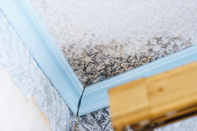Mold Restoration in Boca Raton, FL