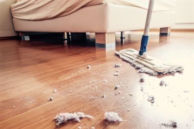 Remove Dirt, Dust, and Allergens!