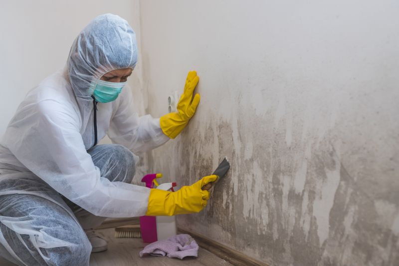 Air Duct Mold Removal in West Palm Beach, FL