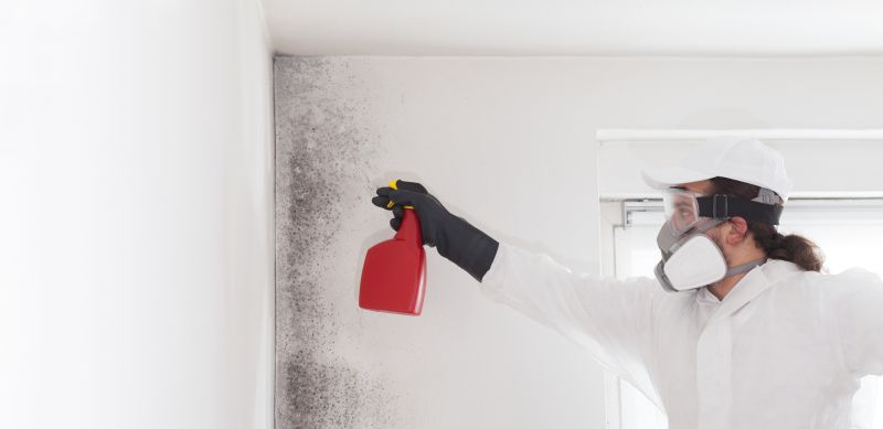Attic Mold Remediation in Bergen County, NJ