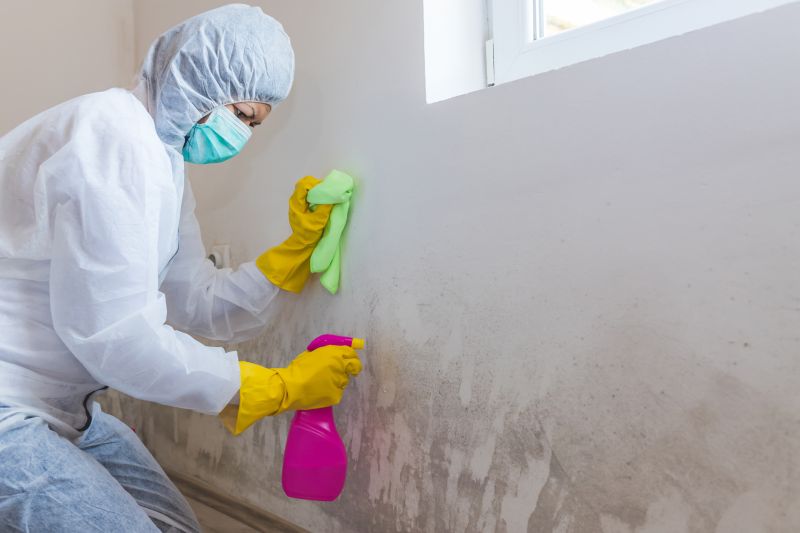 Crawlspace Mold Remediation in Fort Lauderdale, FL