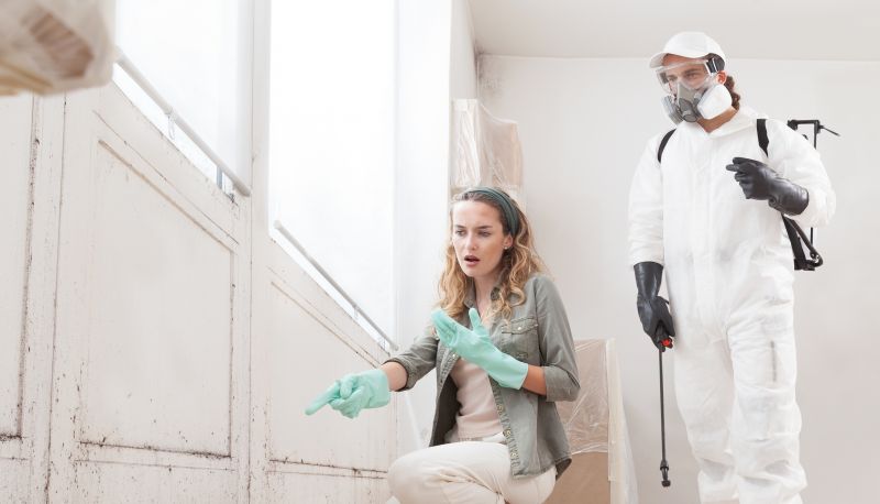 Mold Treatment Service in Dallas, TX